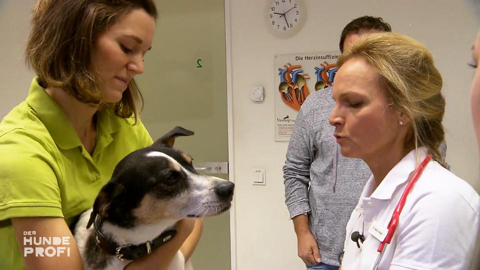 Martin Rütters Verdacht hat sich bestätigt
