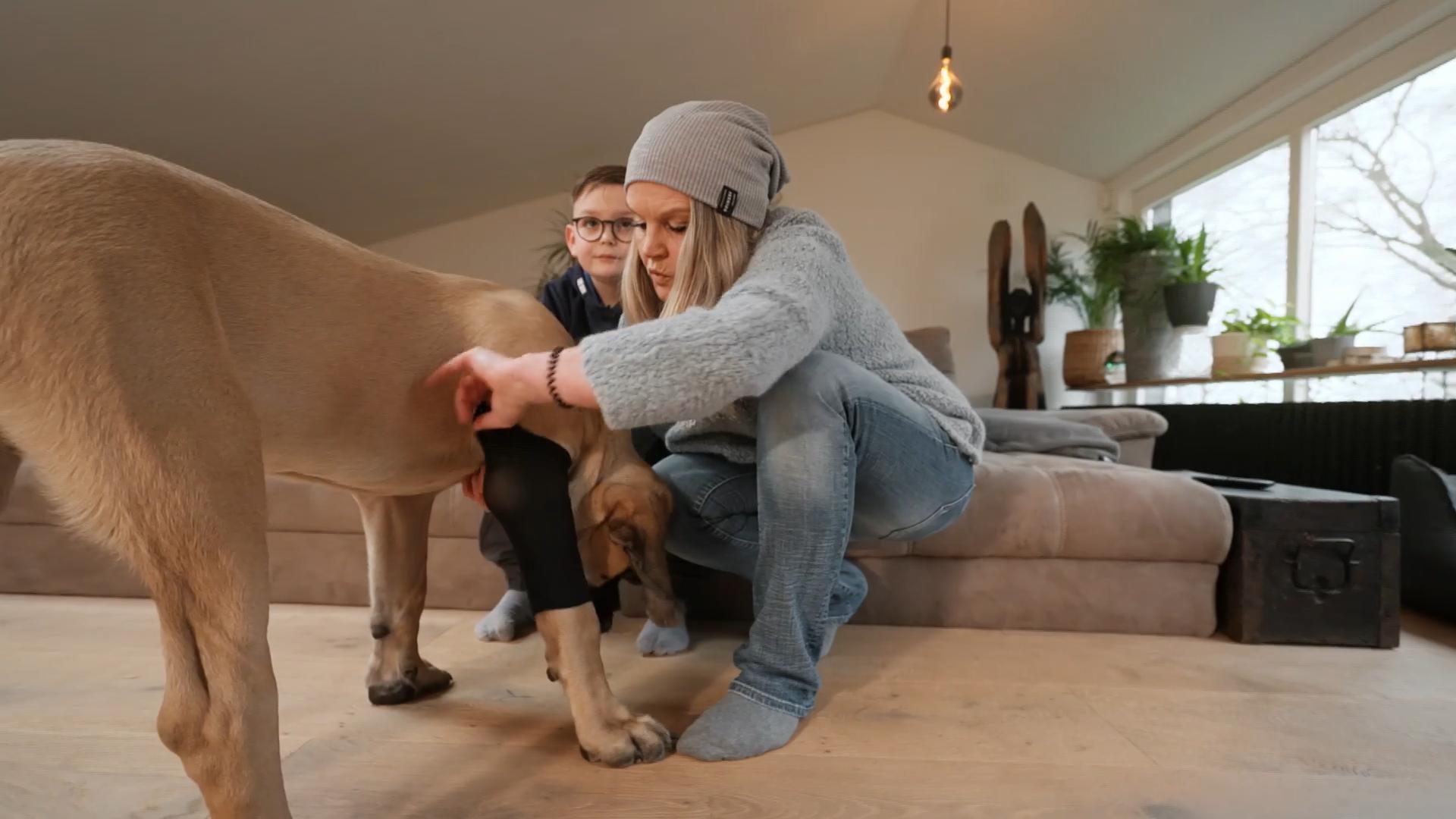 Schröder hat gesundheitliche Probleme