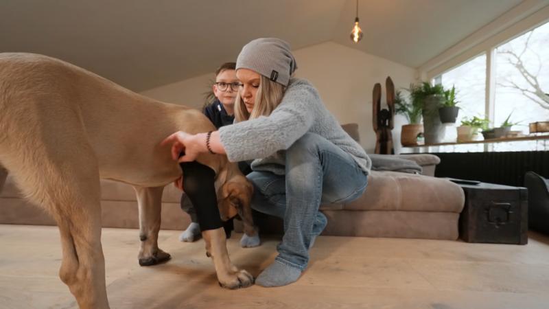 Schröder hat gesundheitliche Probleme