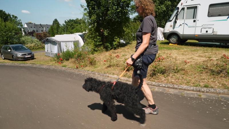 Erster Campingurlaub für Balu