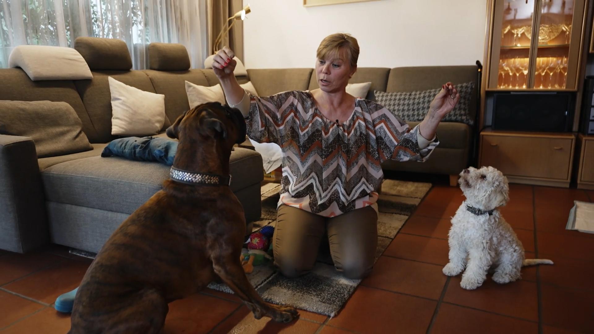 Falco und Tiago sind schon ein echtes Team