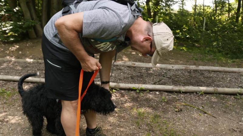 Erster Urlaub mit Balu - Ein ganzes Stück Arbeit
