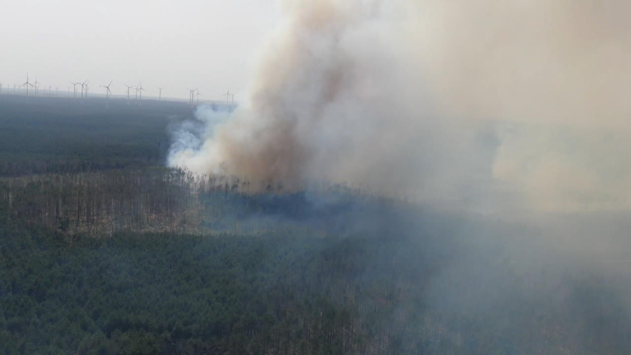 Waldbrand bei Treuenbrietzen: Löscharbeiten gehen weiter