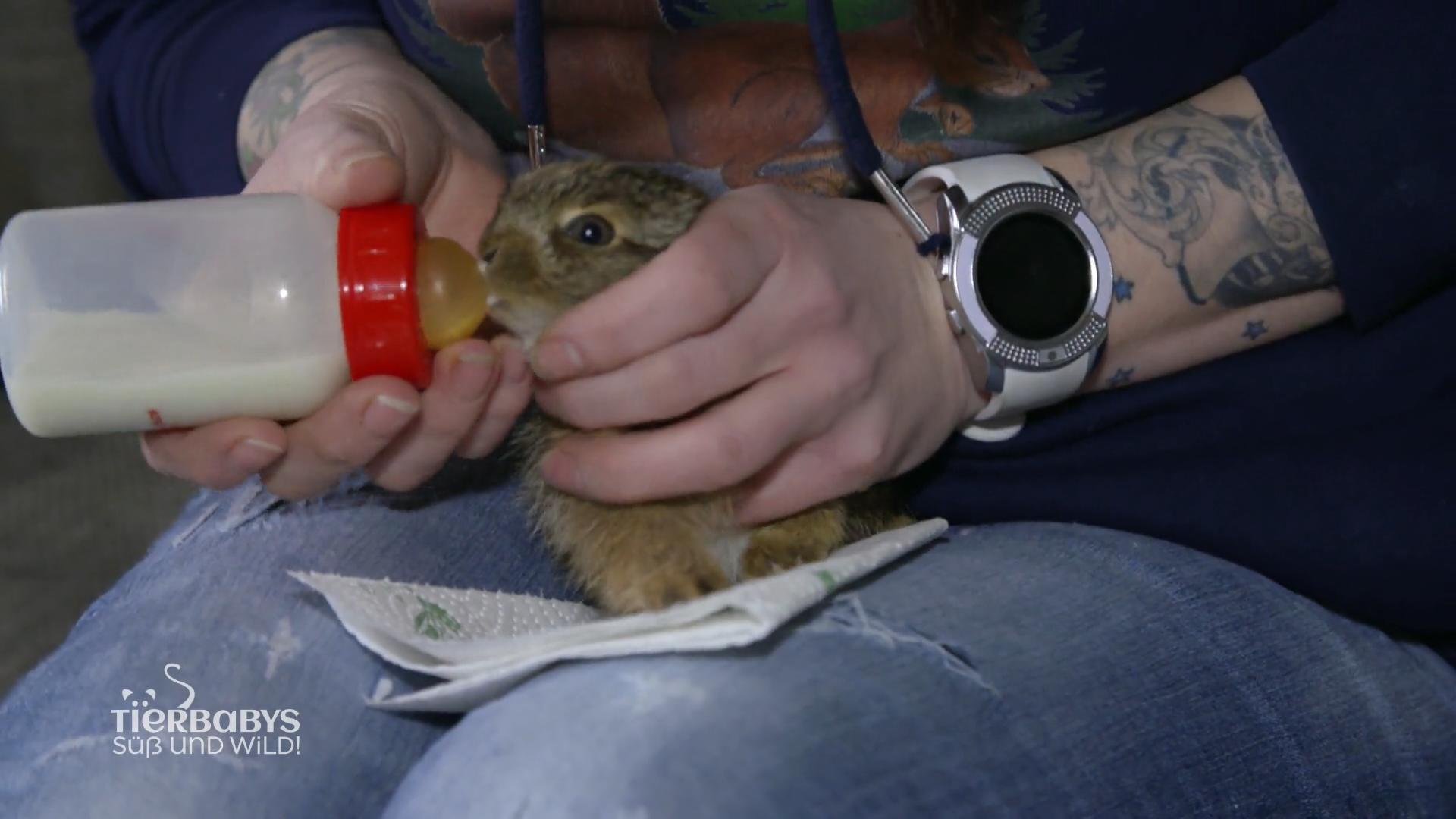 Besondere Ernährung für Klopfer