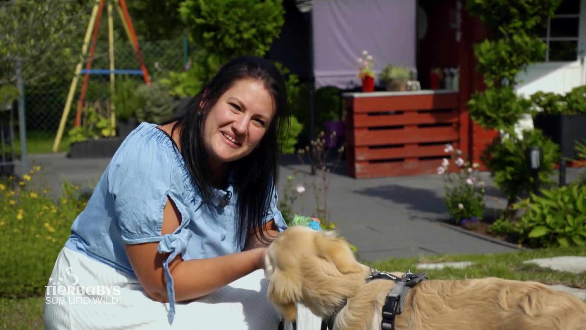 Welpe Sam will nicht gehorchen