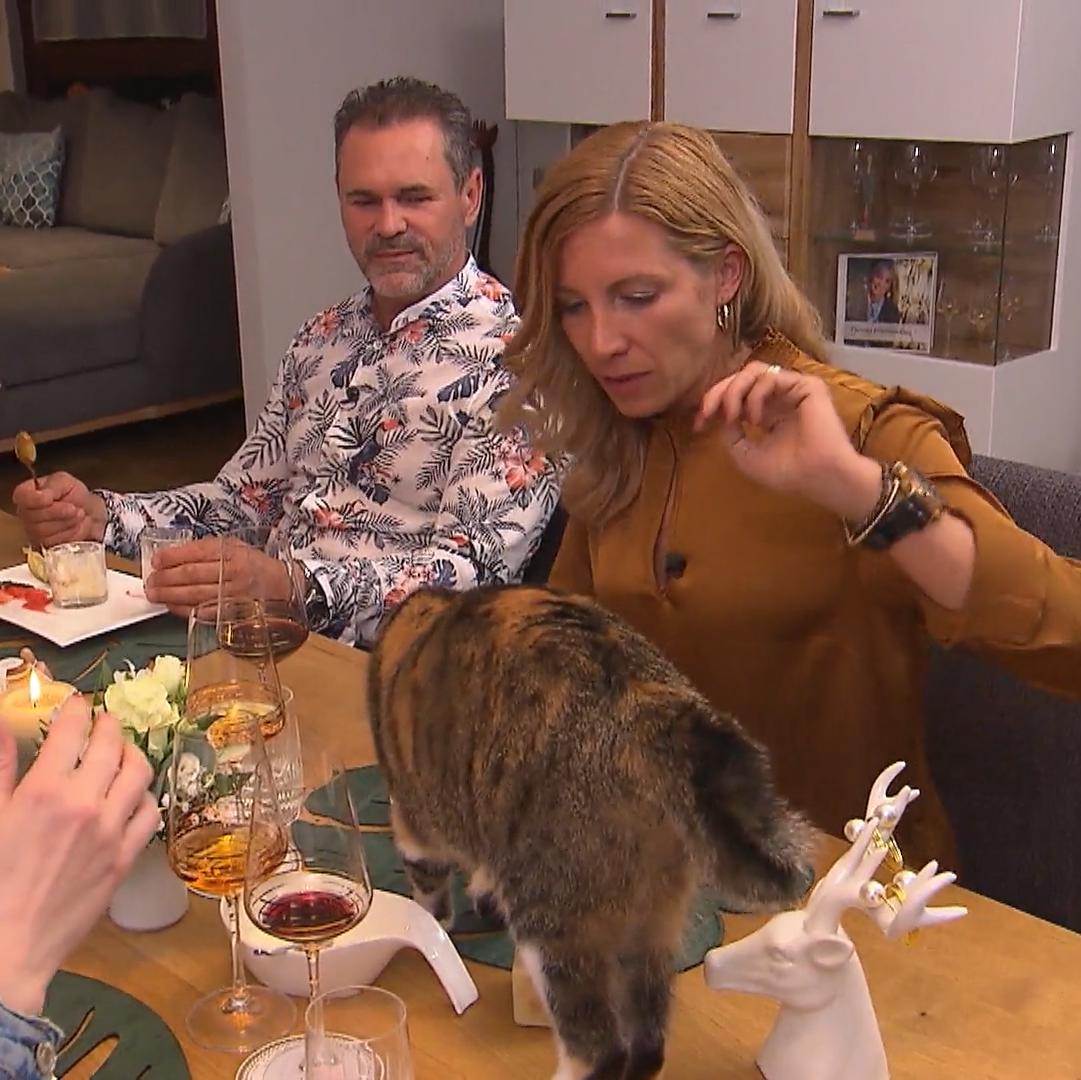 Möchte Luna das Dessert probieren?