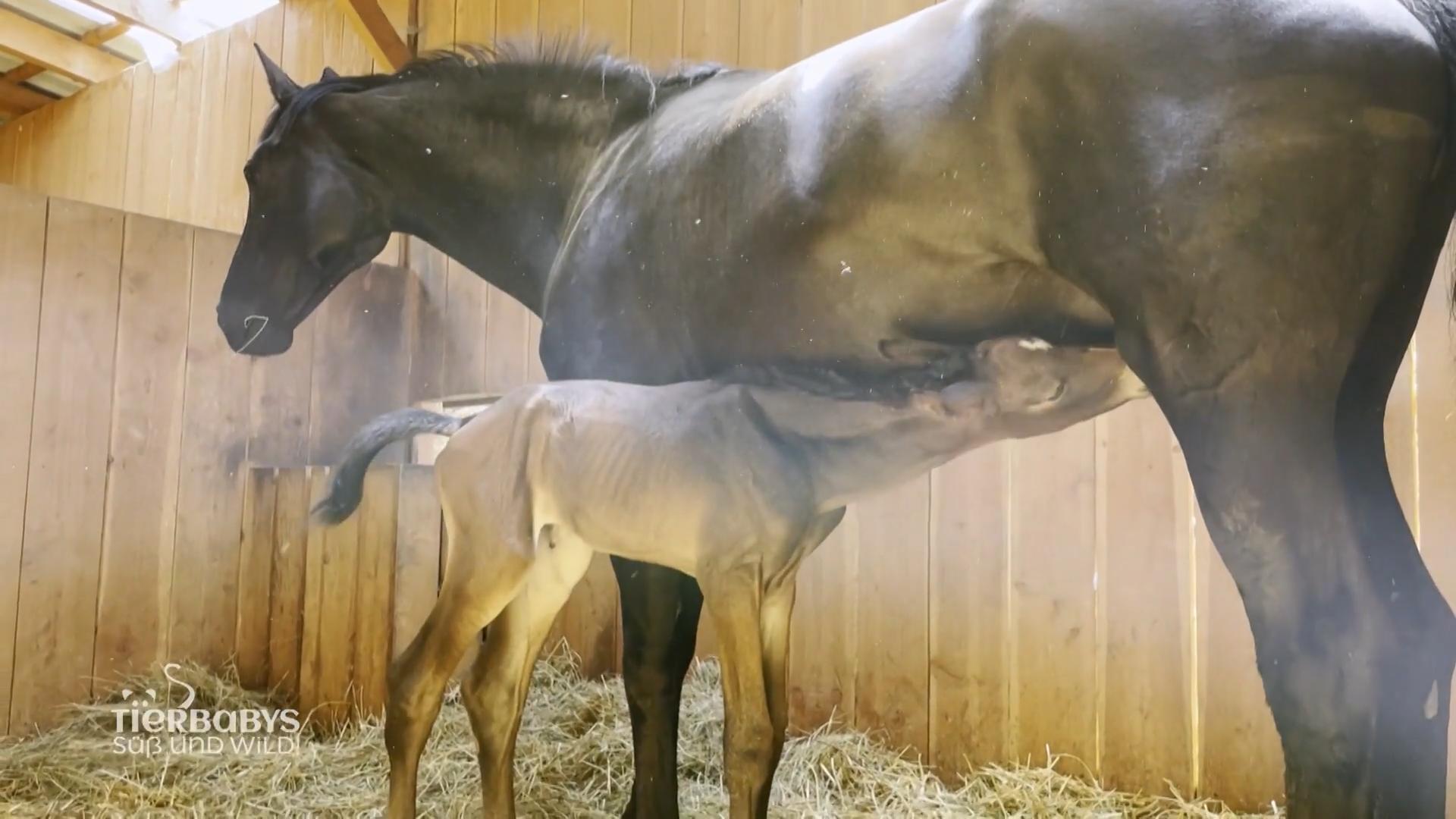 Die Erleichterung ist riesengroß