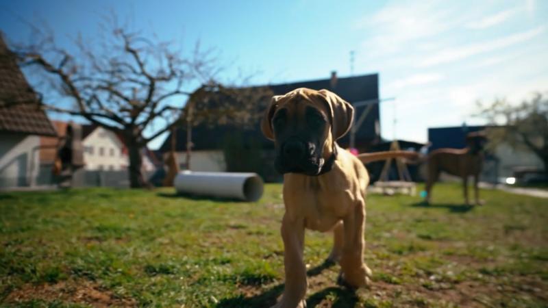 Familie Gump, aber nicht Forrest Gump