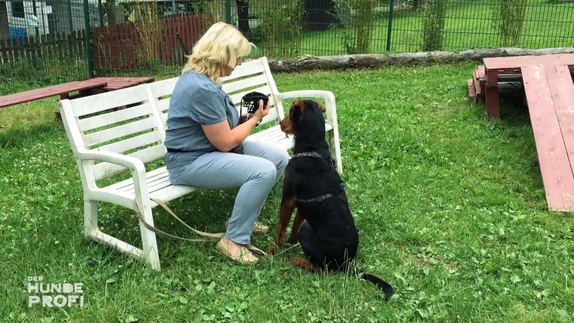 Nicht Tamo hat das Sagen, sondern Martina