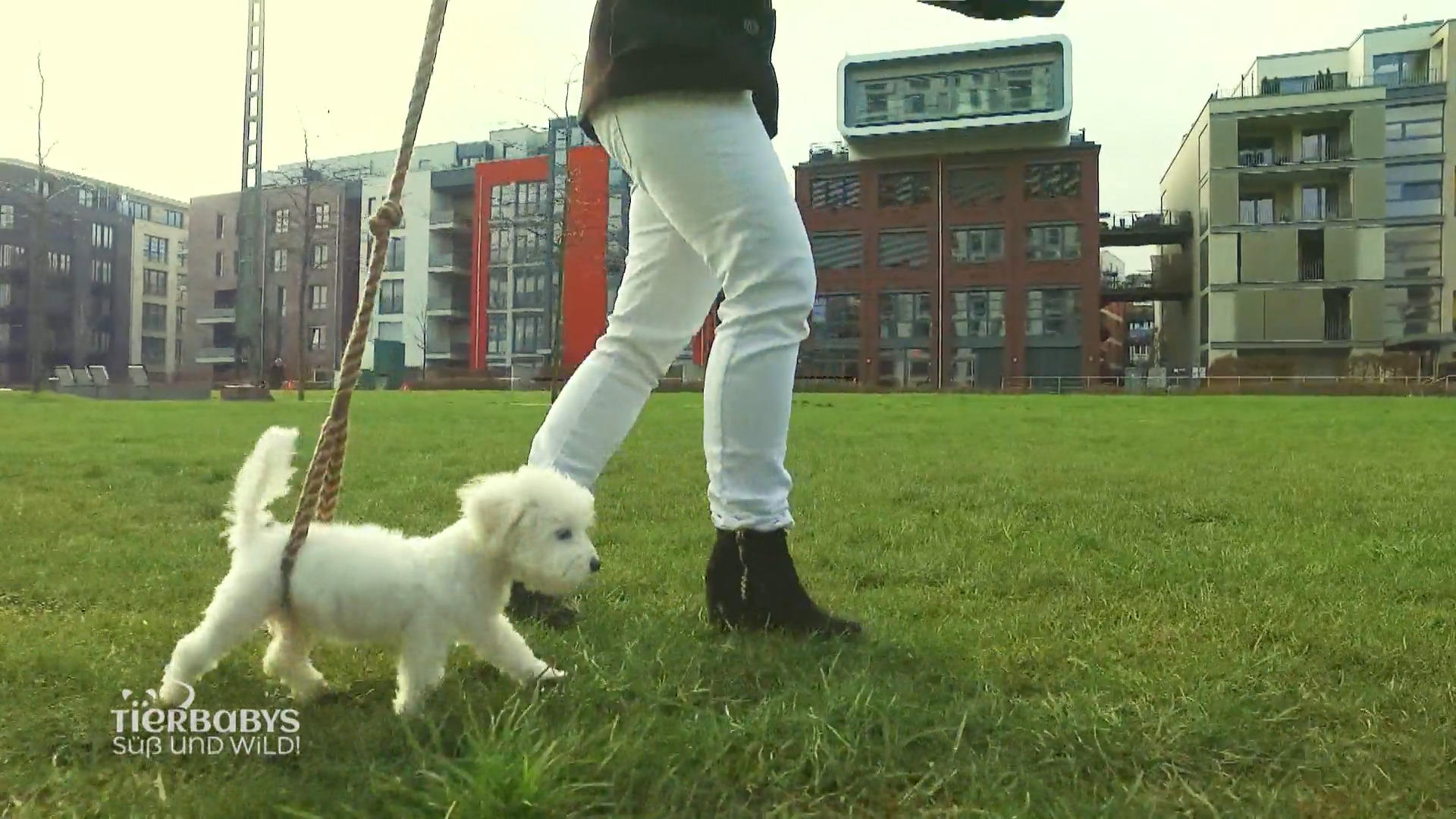 Lotta kommt langsam wieder auf die Beine