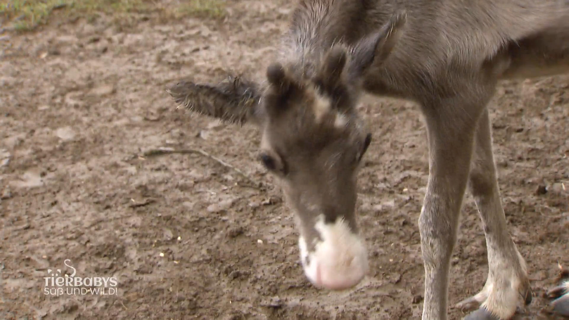Lou ist ganz schön groß geworden