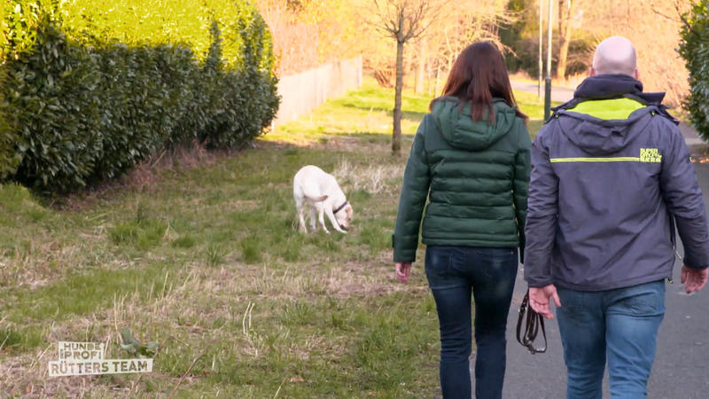 Nala kann den Kot nicht in Ruhe lassen