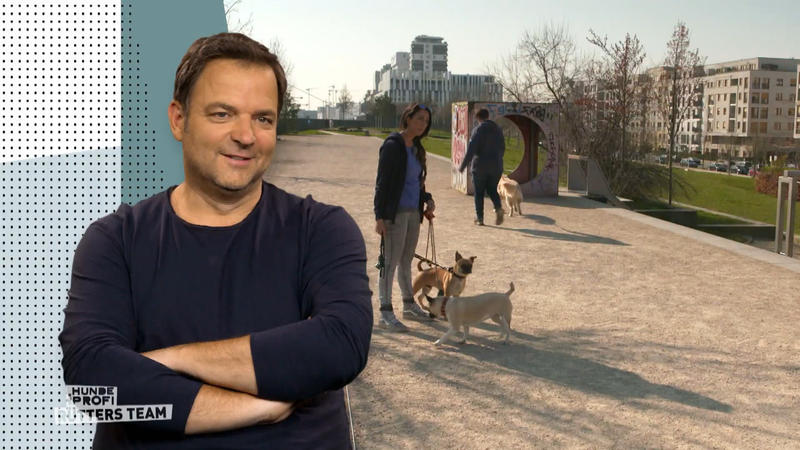 „Die wollen ihr Frauchen beschützen“