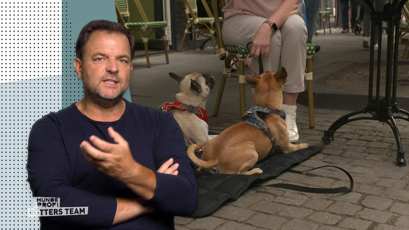 Abschlussbesuch bei Elfie und Bruno