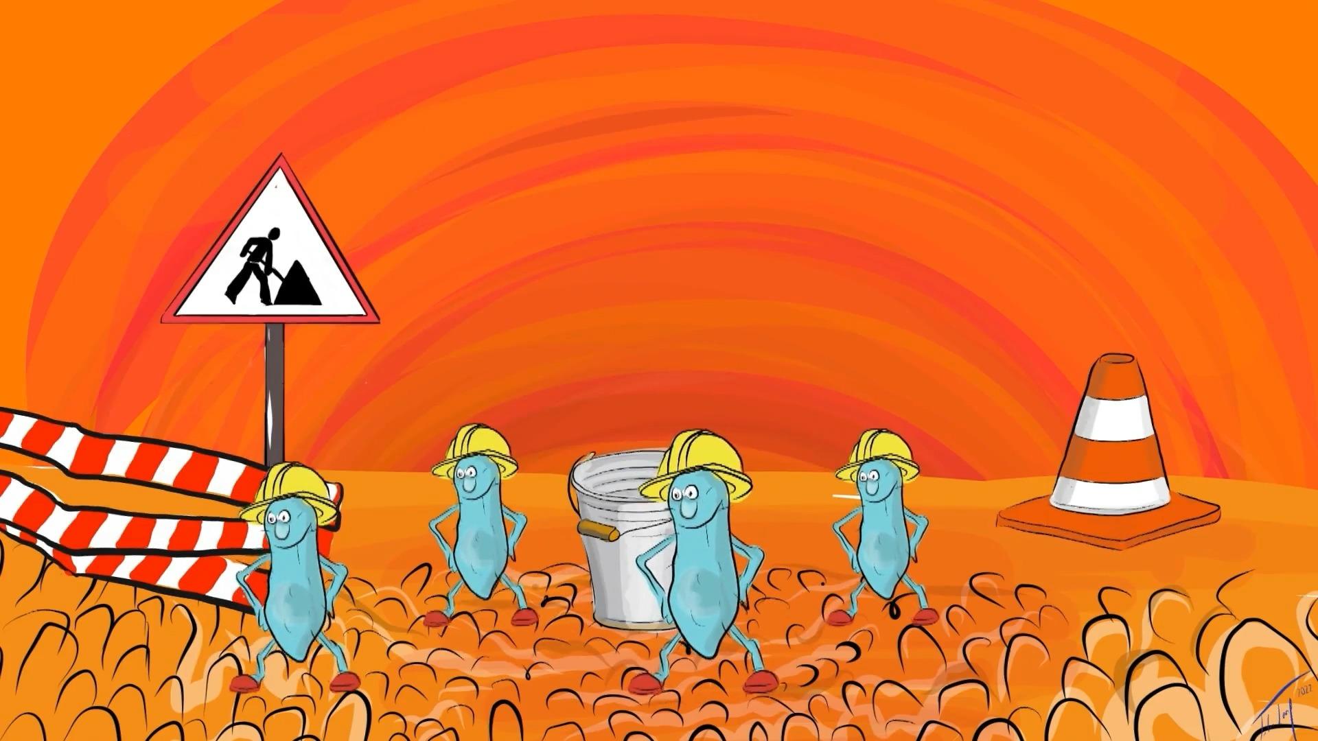 Wie funktioniert eine Darmsanierung?