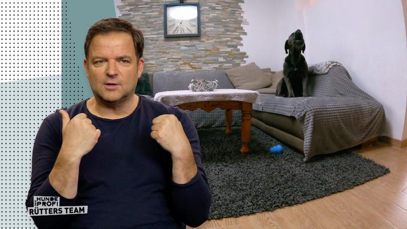 Hector kann nicht allein gelassen werden