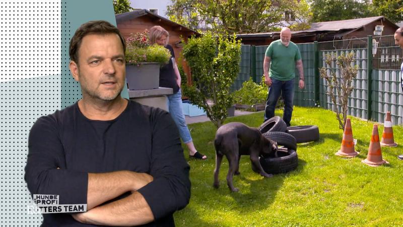 Hector bei der Arbeit