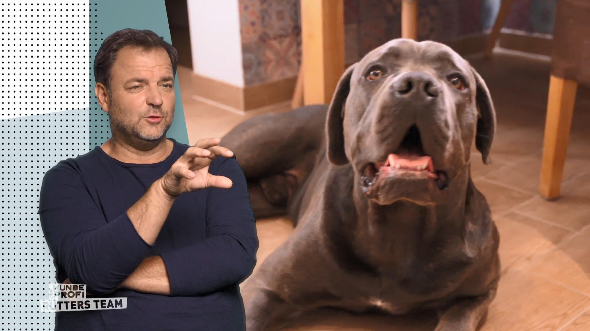 Das Training mit Hector hat sich gelohnt