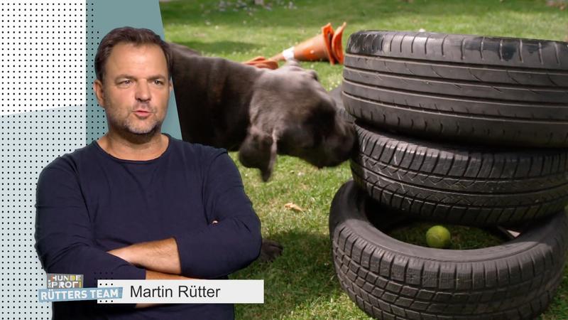 Hector hat mehr Auslastung als je zuvor