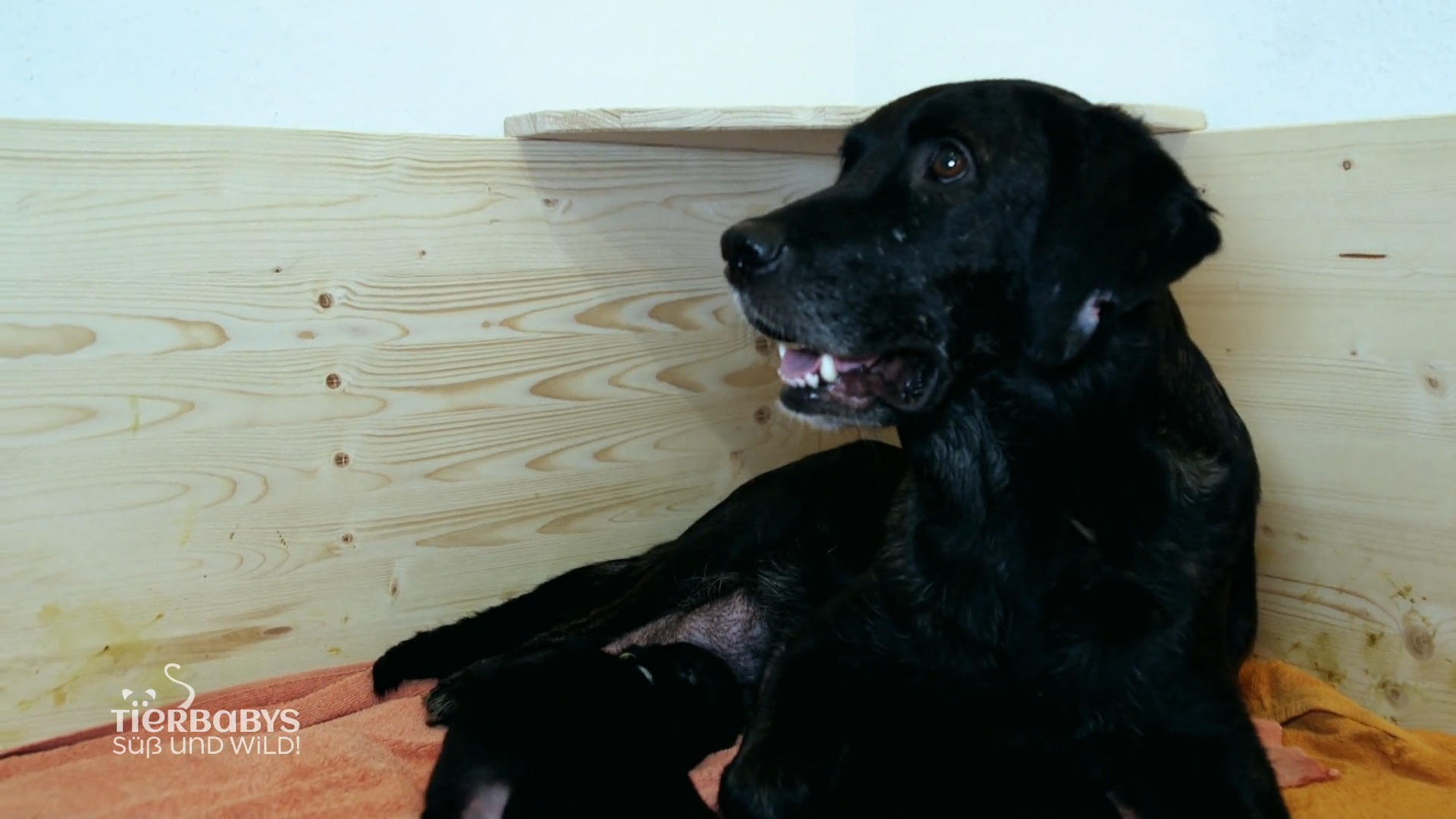 Es muss behutsam vorgegangen werden