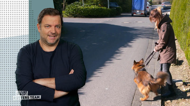Baku ist völlig außer Rand und Band