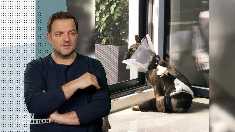 Hohe Verletzungsgefahr bei Louie