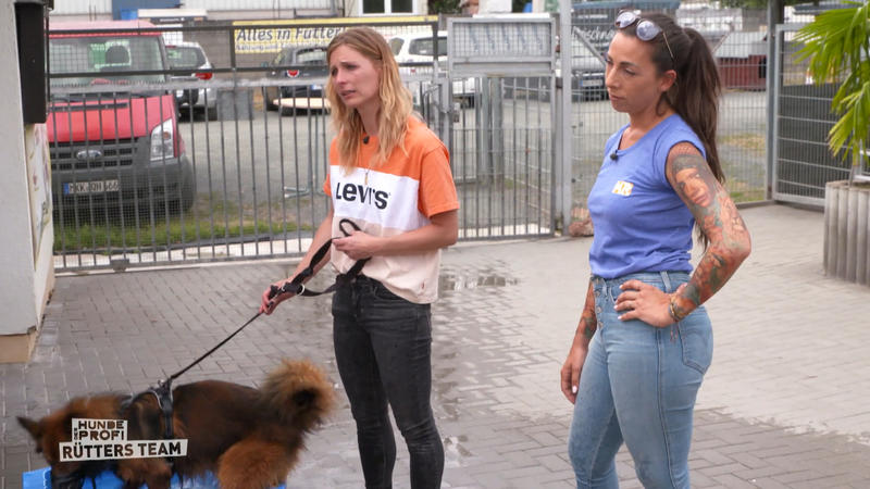 Baku kommt erstmal im Tierheim unter