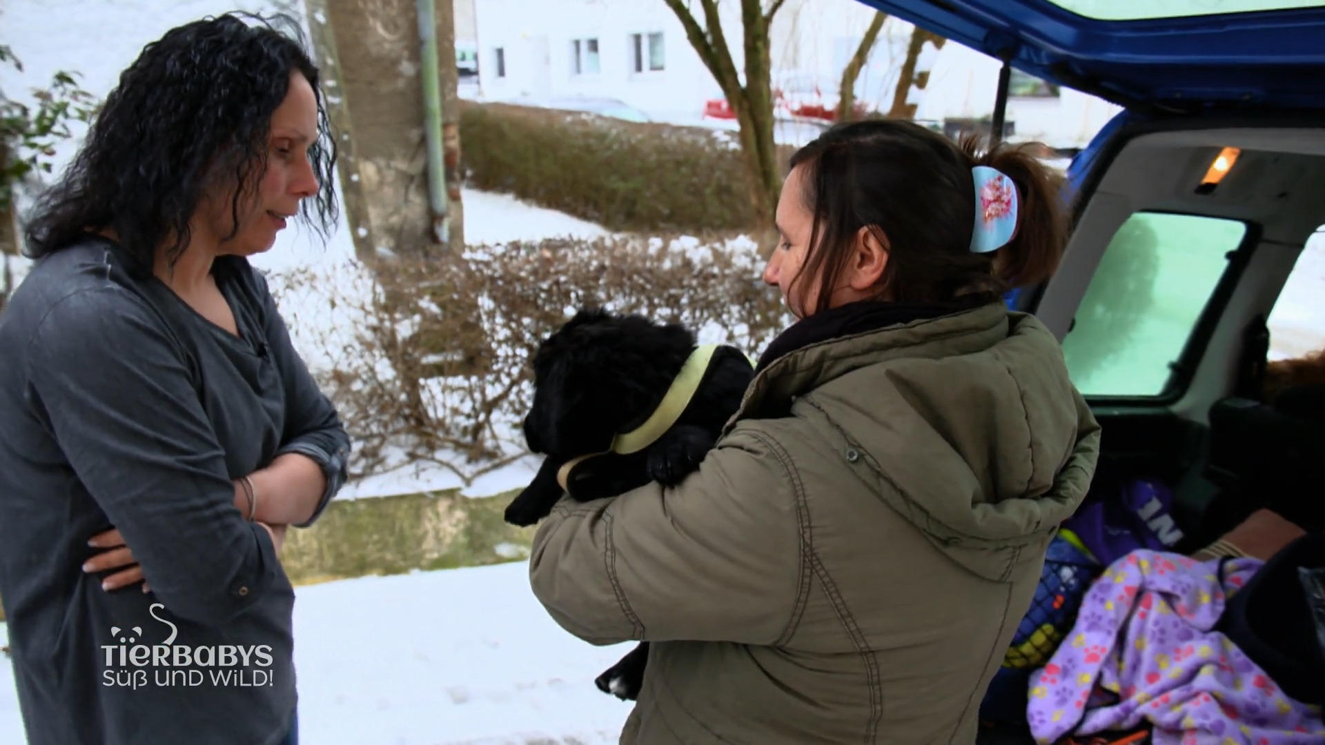 Tuja und der erste Welpe verlassen die Auffangstation