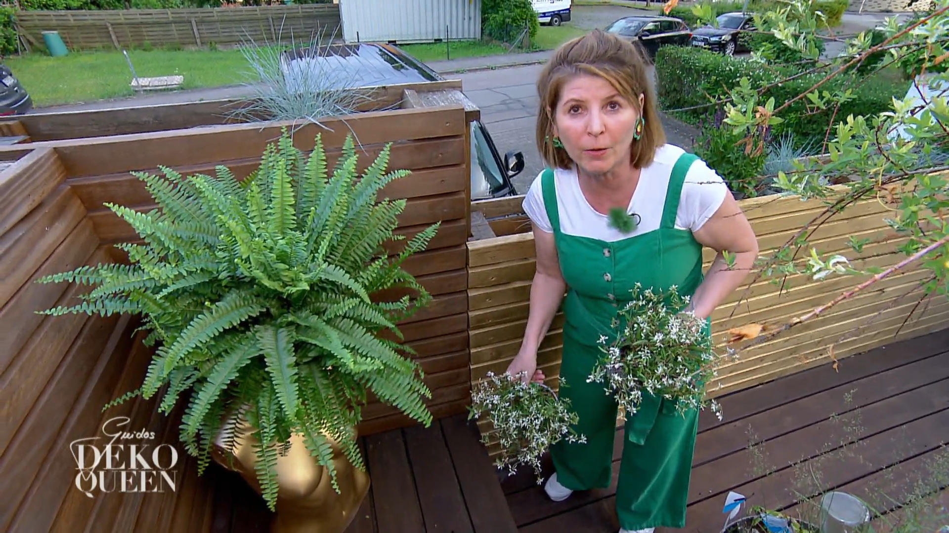 Andreas besonders kreative Pflanzenidee