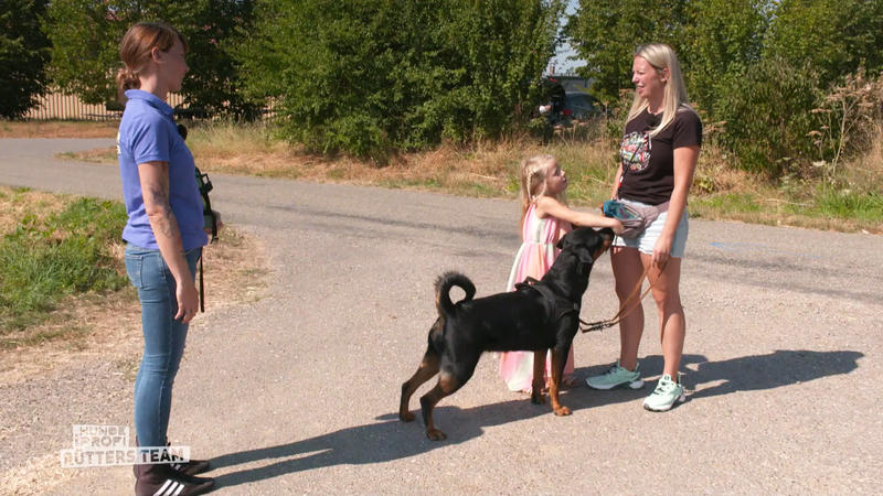 Erfolg auf ganzer Linie bei Linda