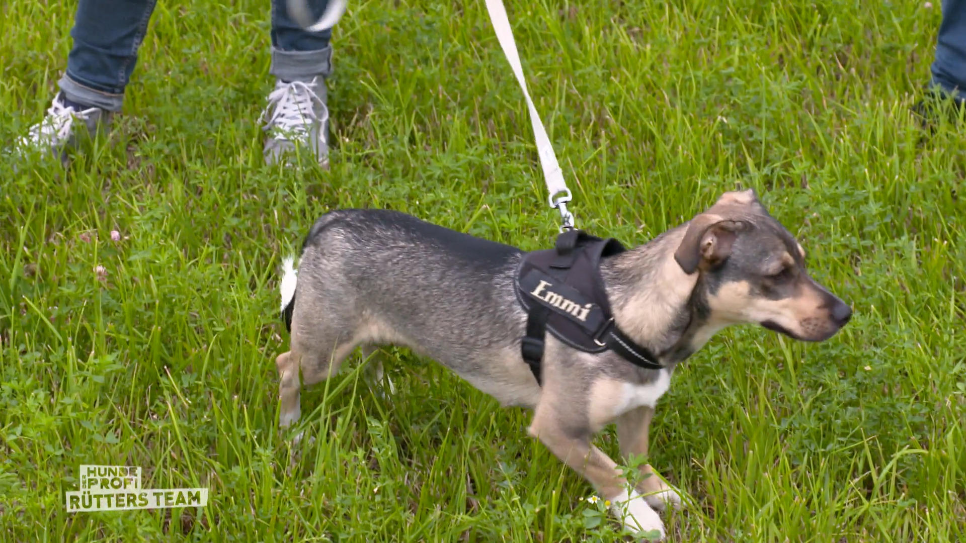 Emmi braucht immer noch viel Training