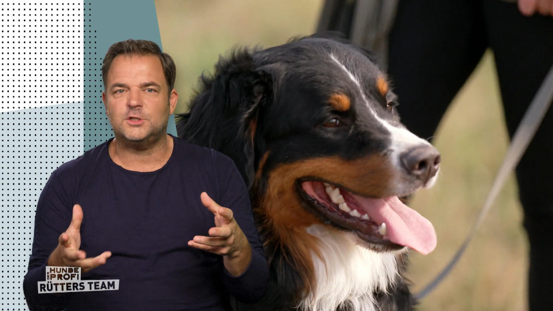 Wie läuft es jetzt mit Fritz?
