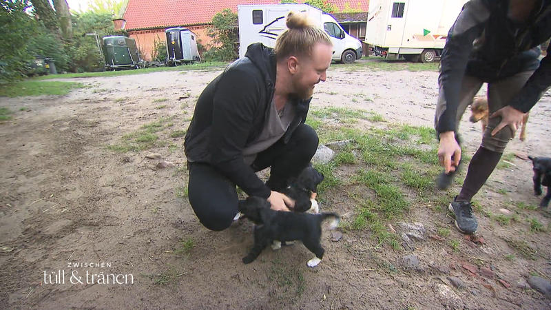 Holt Hannes sich einen Welpen?