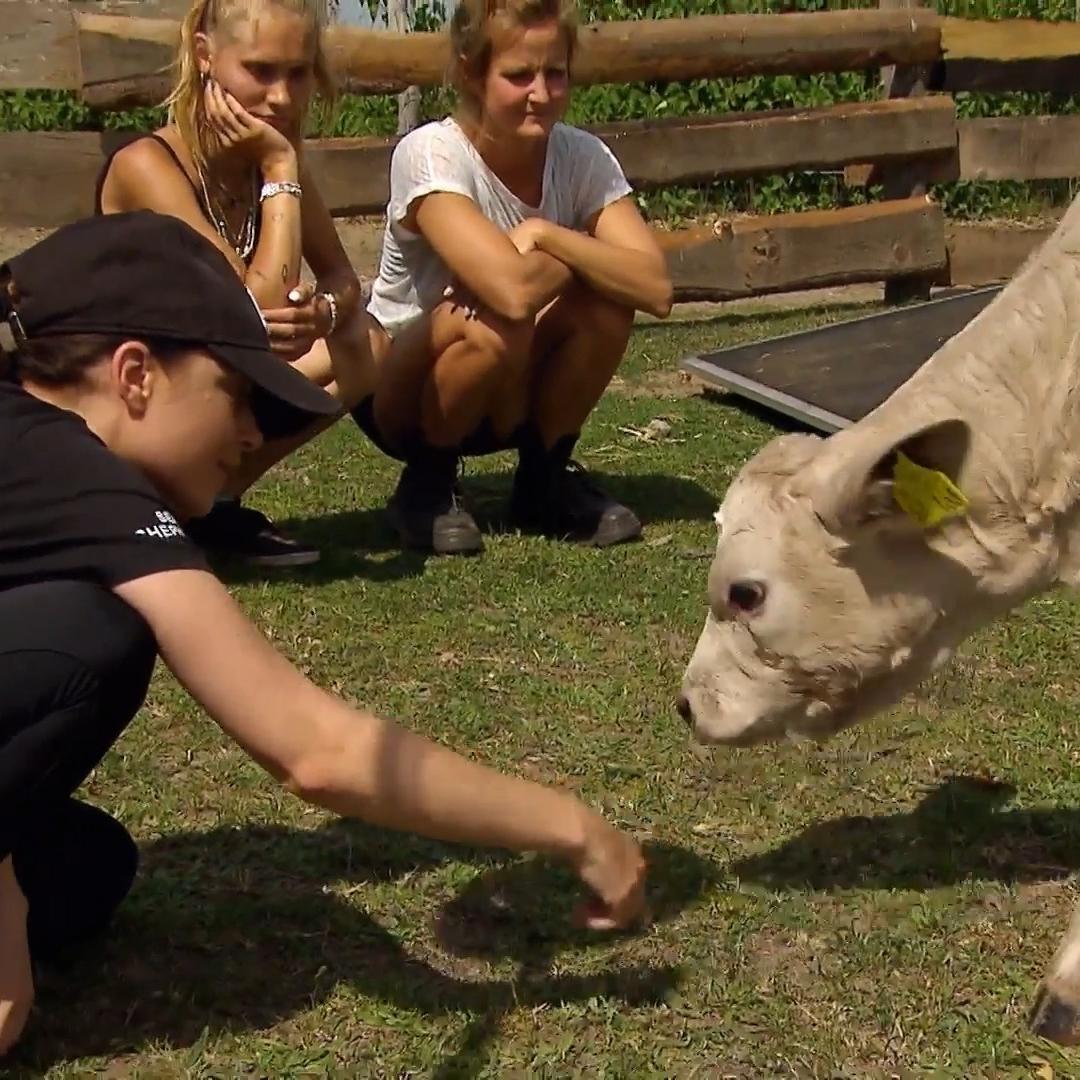 Tierschützerin Anne Menden: "ich hasse es so sehr"