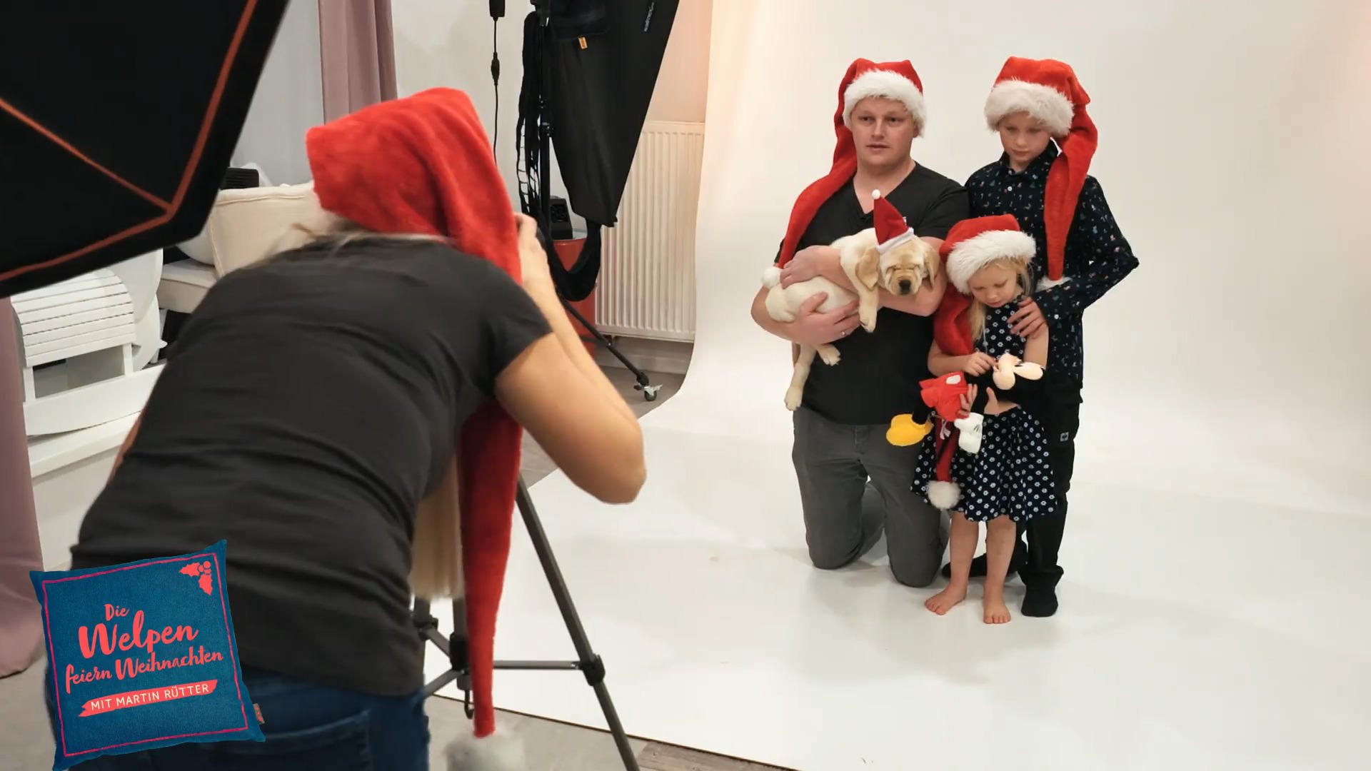 So erleben die Welpen die Weihnachtszeit