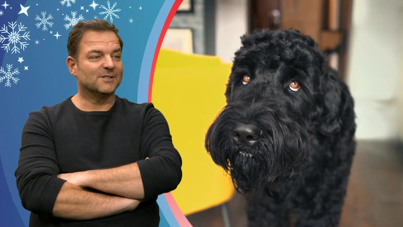 Wiedersehen mit einem alten Bekannten