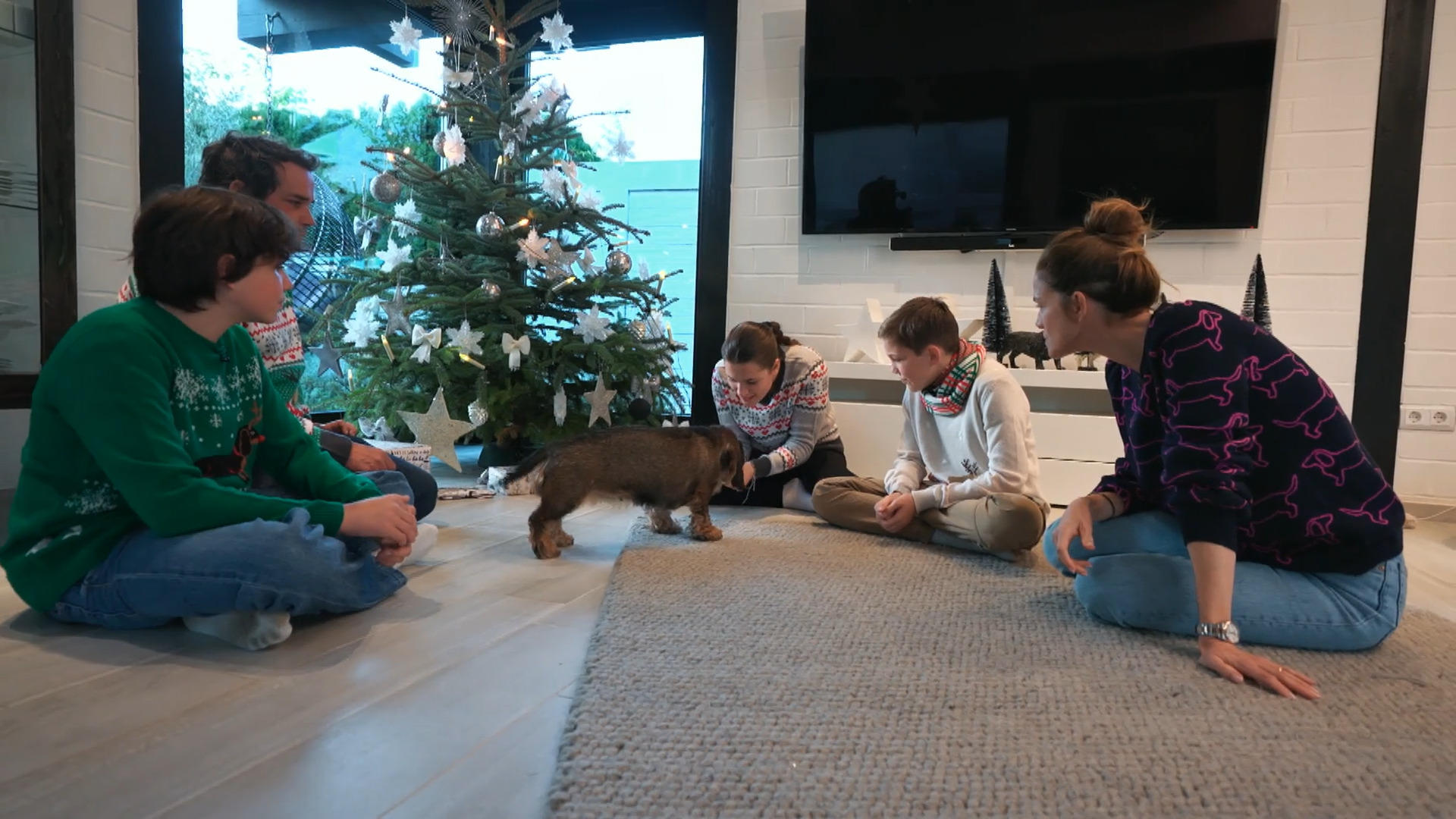 Bescherung für Dackeldame Betty