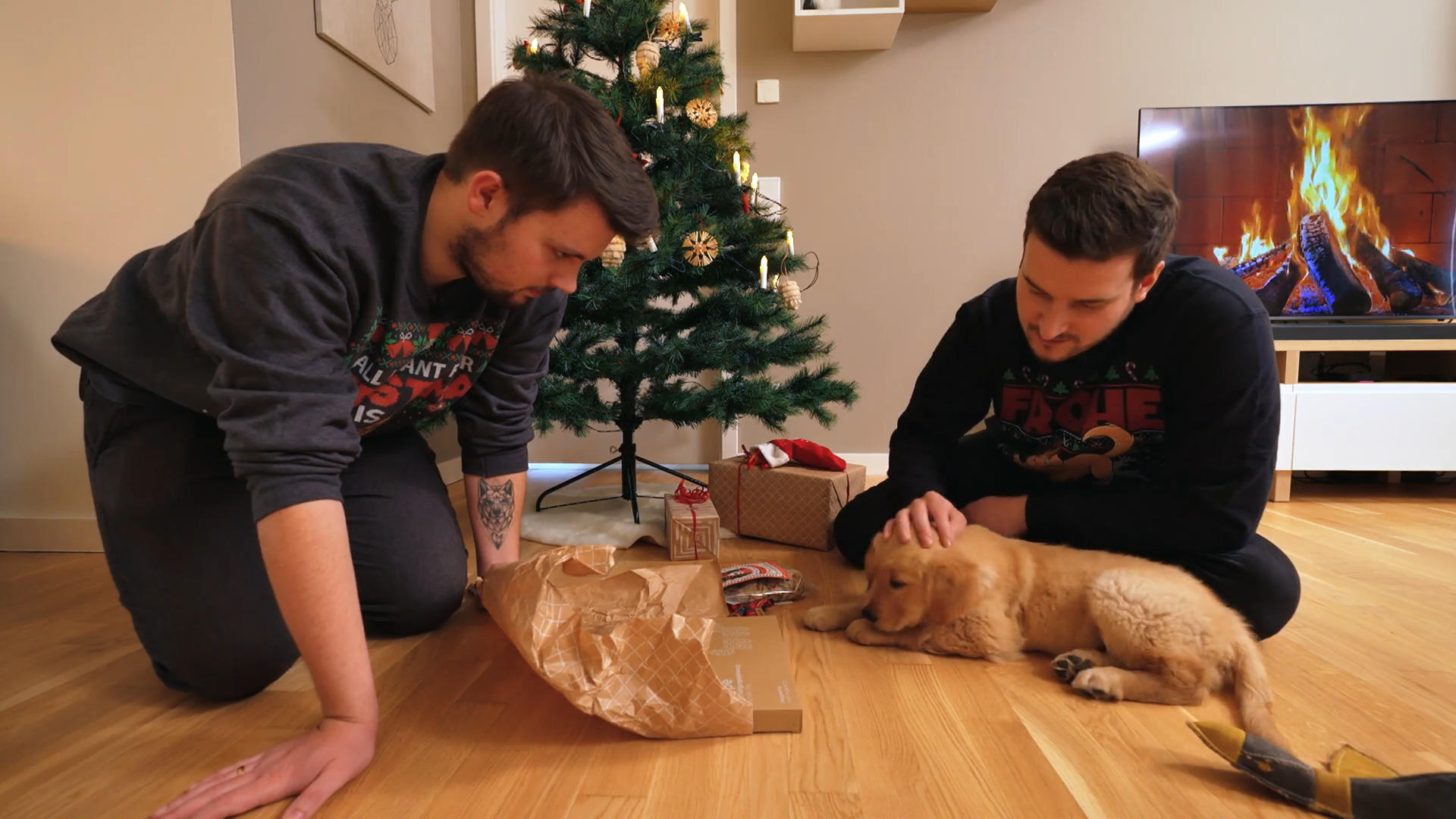 Kann man Quinn mit Geschenken bestechen?