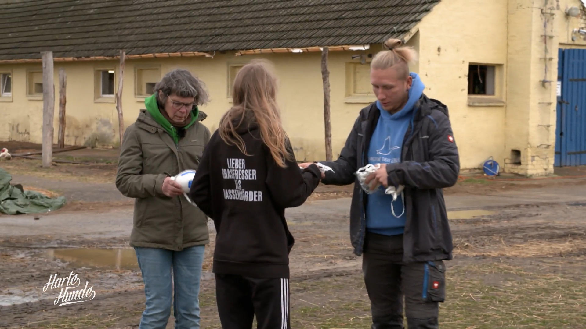 Flammeninferno beim Tierschutzverein