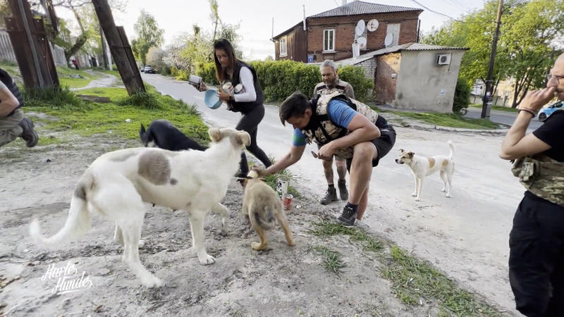 Einsatz für Hunde und Katzen in der Ukraine