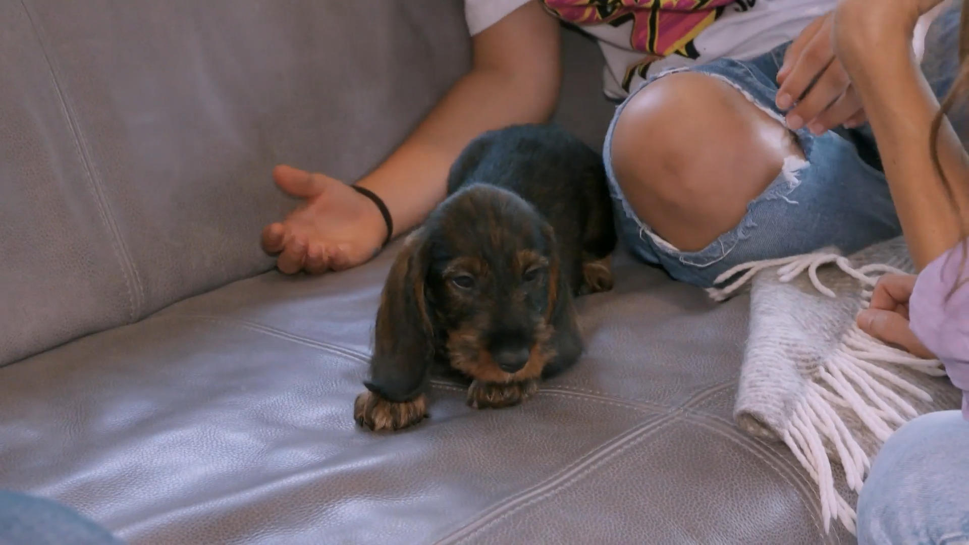 Ist die Familie zu vorsichtig mit Betty?