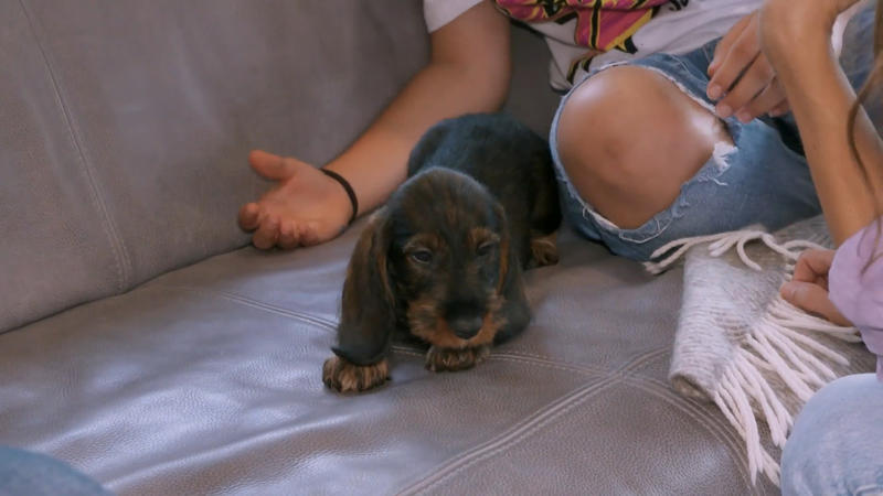 Ist die Familie zu vorsichtig mit Betty?