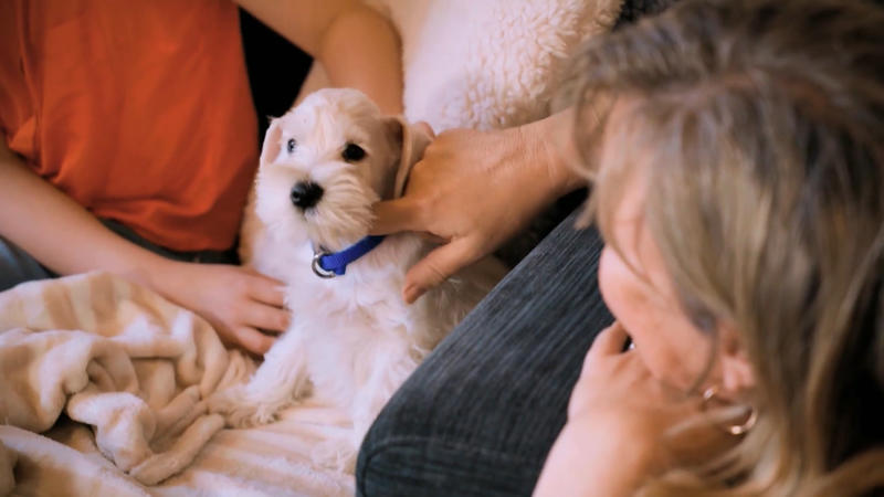 Der Einzug vom kleinen Alfie