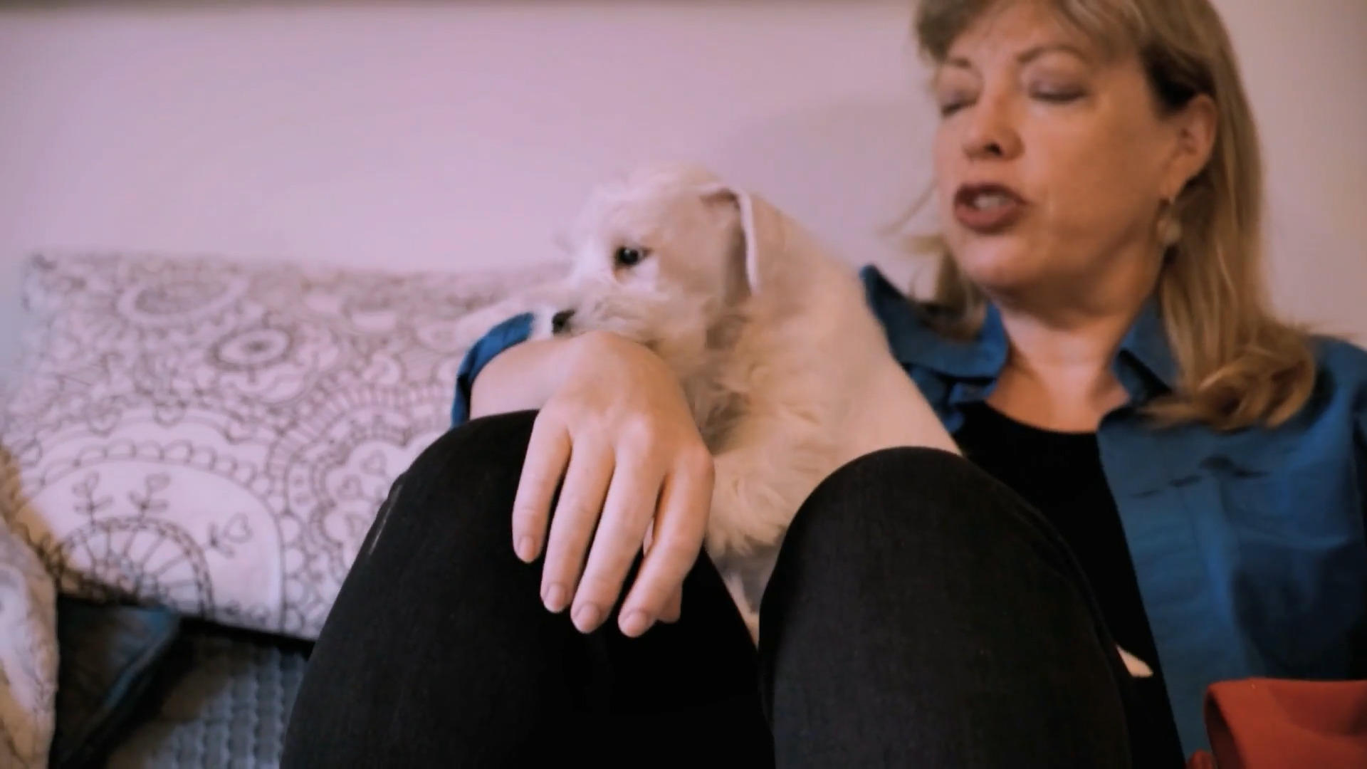 Gehen die Raufspiele mit Alfie zu weit?