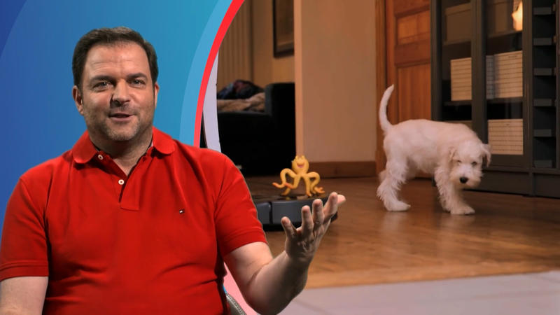 Alfie ist nach 5 Wochen noch nicht stubenrein