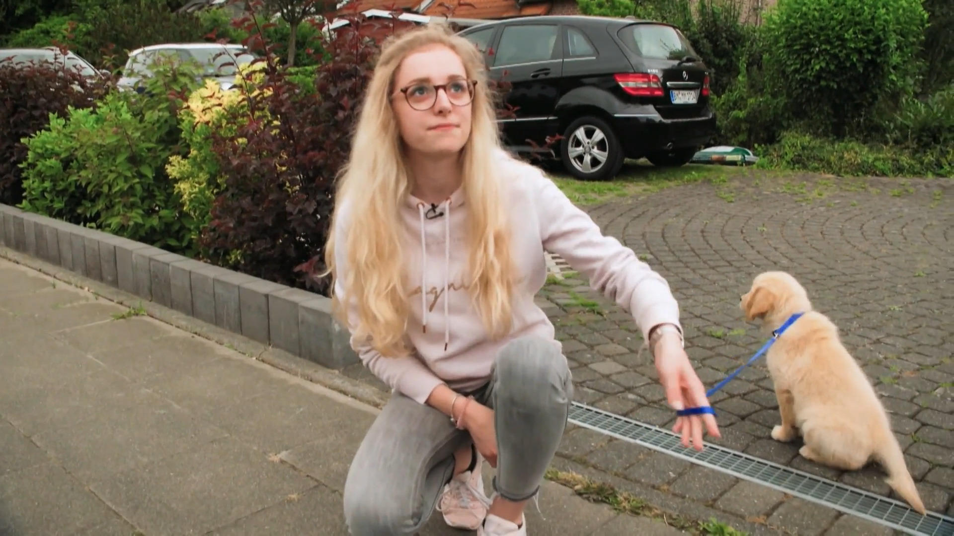 Die Leine mag Sam überhaupt nicht