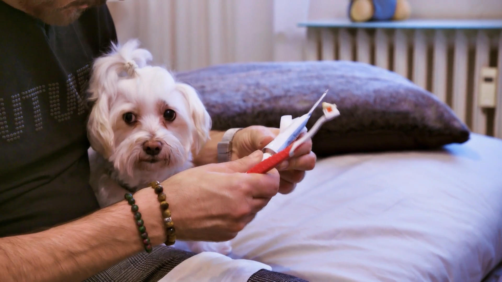 Aslan muss regelmäßig die Zähne putzen