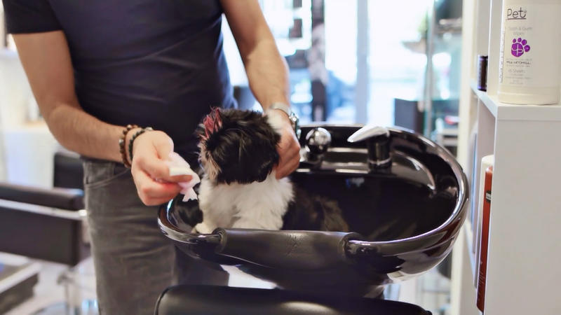 Lillifee bekommt erstmal Farbe verpasst