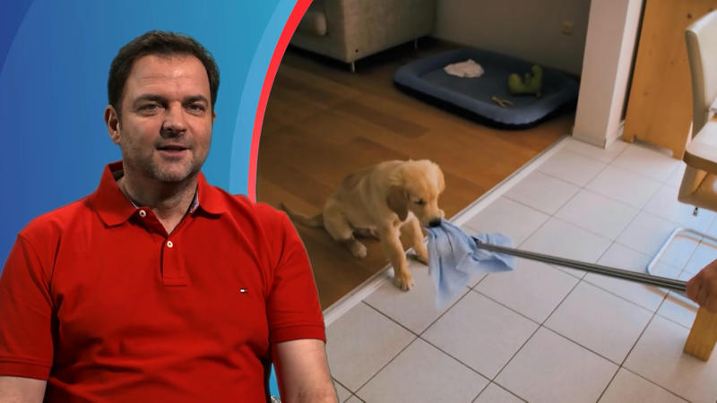 Keine Grenzen für Welpe Sam