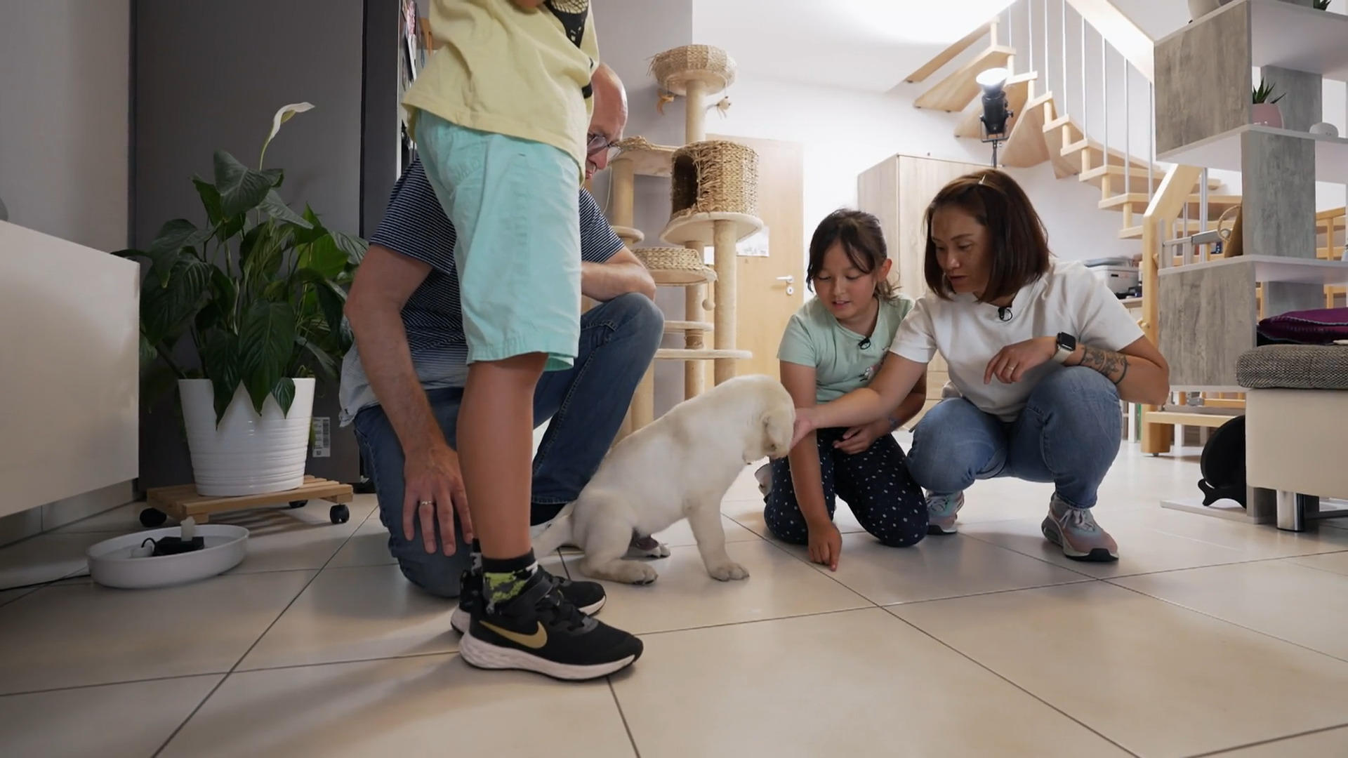 Die erste Hausbegehung